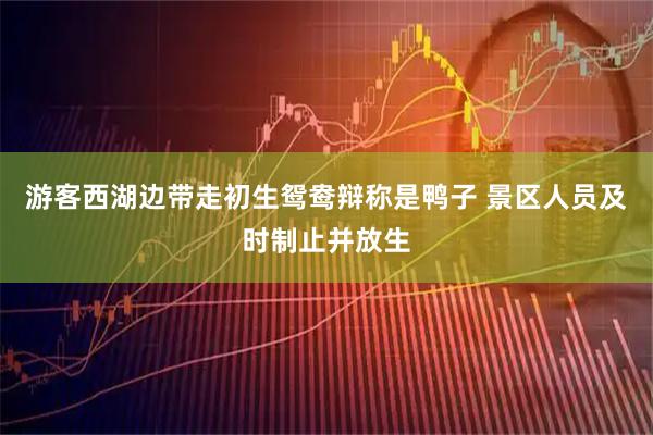 游客西湖边带走初生鸳鸯辩称是鸭子 景区人员及时制止并放生