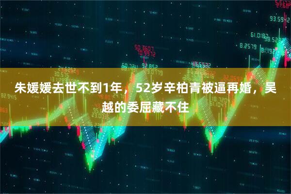 朱媛媛去世不到1年，52岁辛柏青被逼再婚，吴越的委屈藏不住